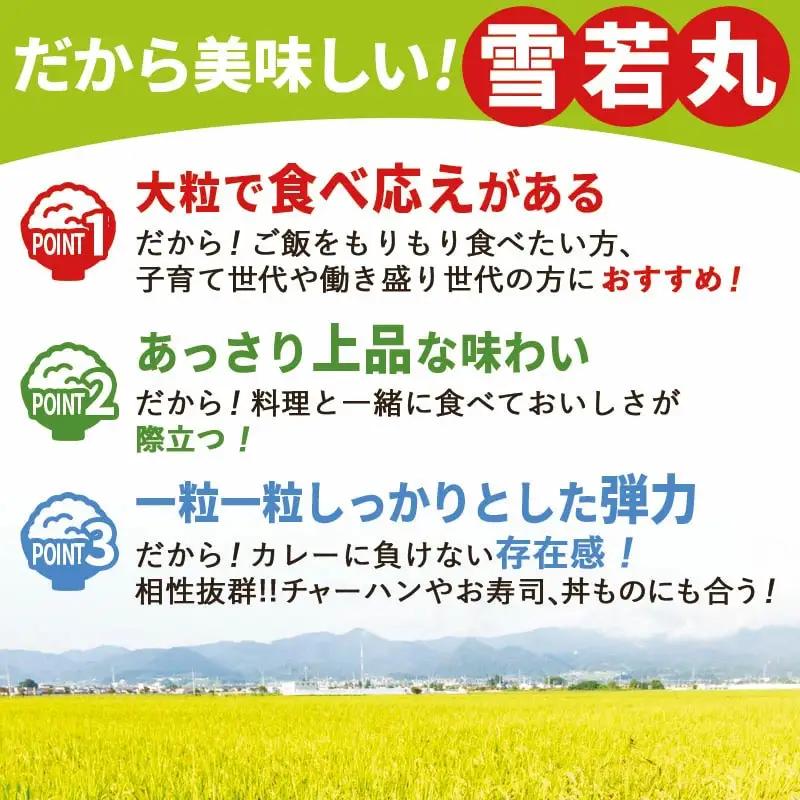 つや姫 ・ 雪若丸 セット 10kg [ 令和7年産 ] 米 精米