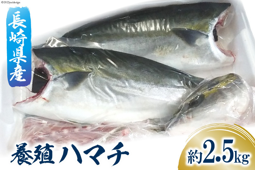 
            長崎県産 養殖 ハマチ フィーレ 約 2.5kg [田中鮮魚卸 長崎県 雲仙市 item2209] はまち 冷凍 フィレ
          