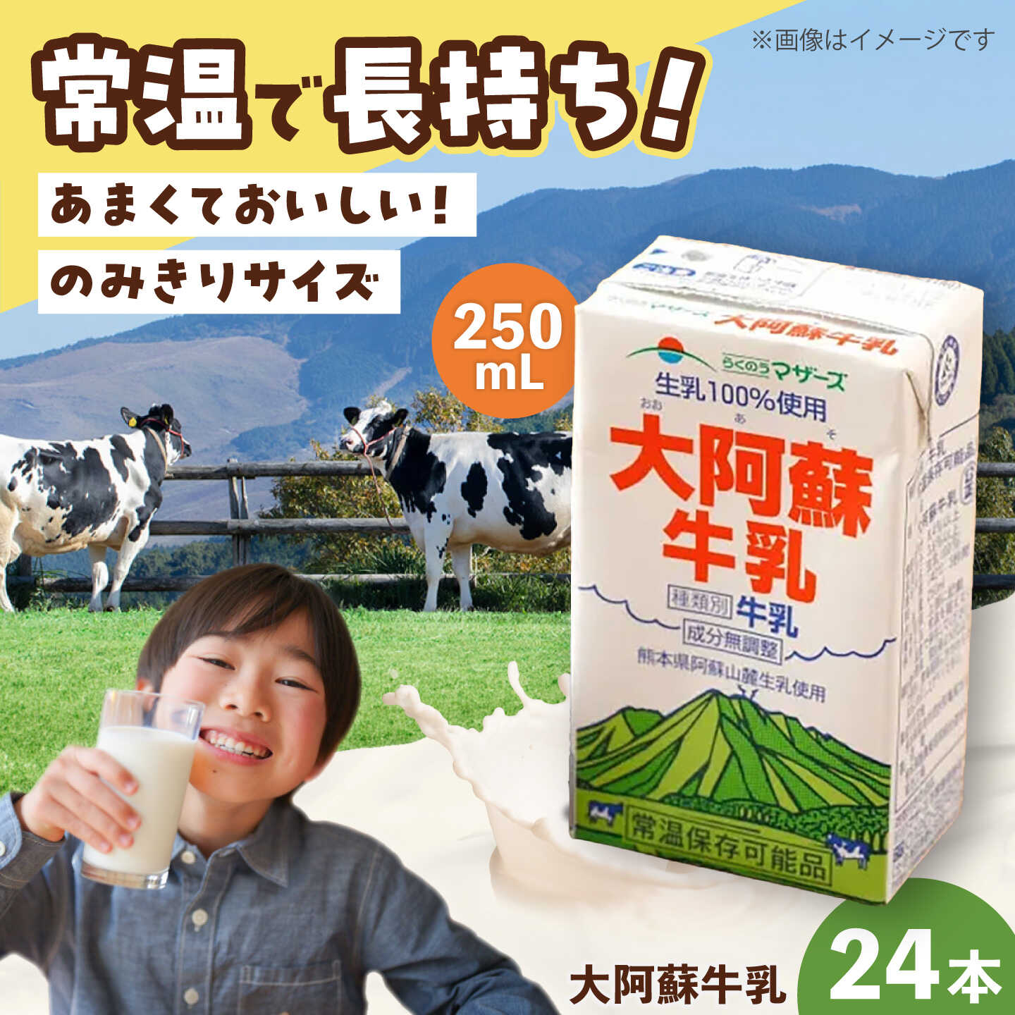 【ふるさと納税】大阿蘇 牛乳 250ml(24本入り) / 阿蘇 熊本 乳牛 生乳 牛乳 無調整 自然 らくのう 成分無調整牛乳 ミルク カルシウム 常温保存 長期保存 送料無料 熊本県 菊陽町 国産 九州 紙パック 【合同会社 たべたせいか】[BHBY011]