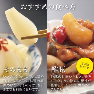 ふるさと納税 鳥取市 特別栽培らっきょうの甘酢漬(6袋セット) |  | 02