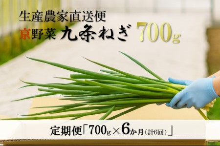 【6か月定期便】生産農家直送 京野菜・九条ねぎ700ｇ〈ねぎ 野菜 京都