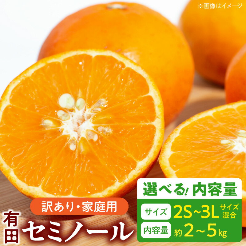 【ふるさと納税】【限定】【先行予約】 ご家庭用 セミノール 和歌山 有田 2S~3Lサイズ混合 選べる 内容量 約2kg ～ 約5kg 和歌山県 湯浅町 送料無料