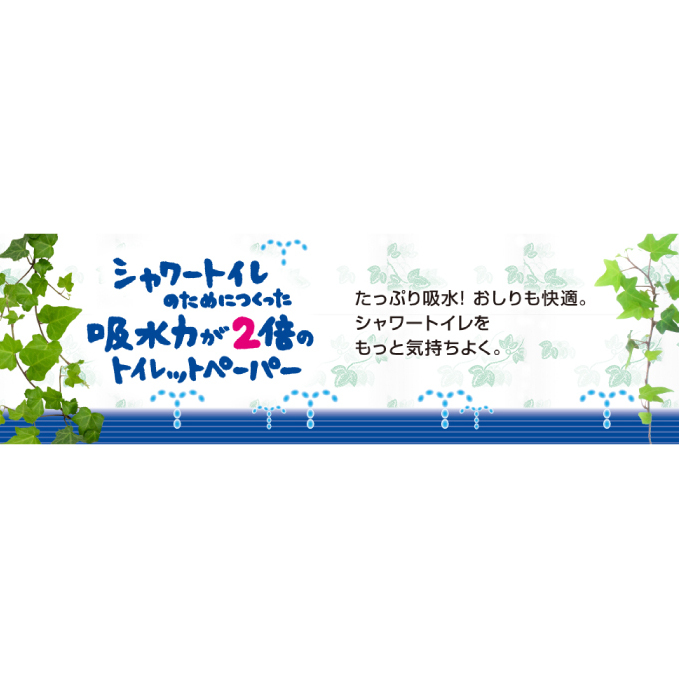 エリエール 【少量3パック】 [アソートU]エリエール シャワートイレのためにつくった吸水力が2倍 トイレットペーパー ダブル 25m 12R 3パック 計36ロール 防災 常備品 備蓄品 消耗品  