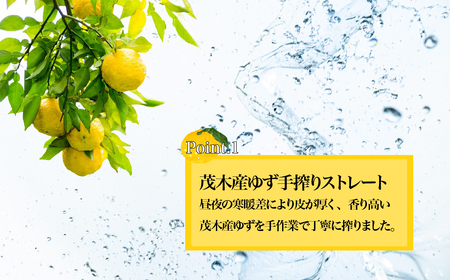 茂木町産ゆず使用！ クラフトチューハイ 330ml×12本 | チューハイ チューハイ チューハイ チューハイ チューハイ