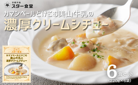 クリームシチュー 6食セット 美山産 クリームシチュー