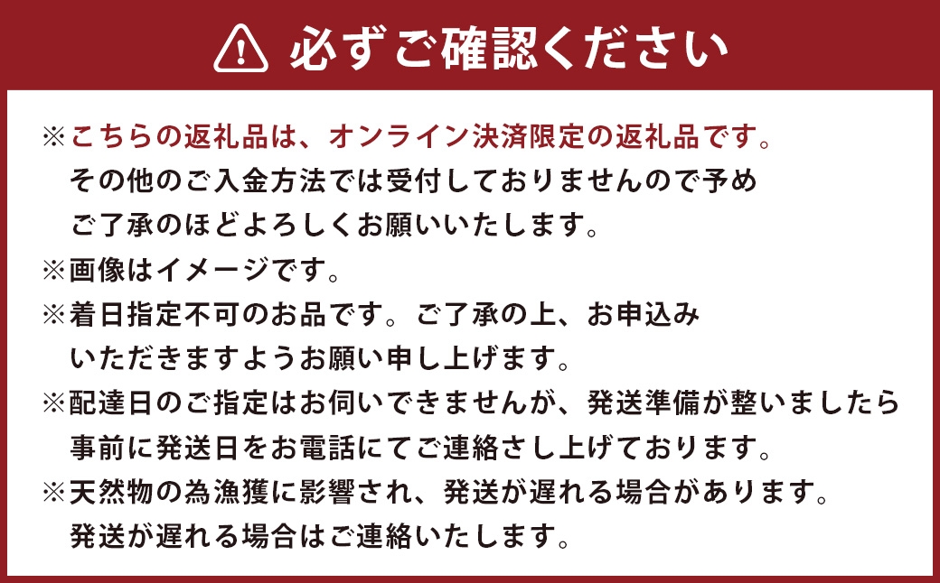 活 伊勢海老 (イセエビ) 2～3尾入り 800g 伊勢エビ エビ 海老 新鮮