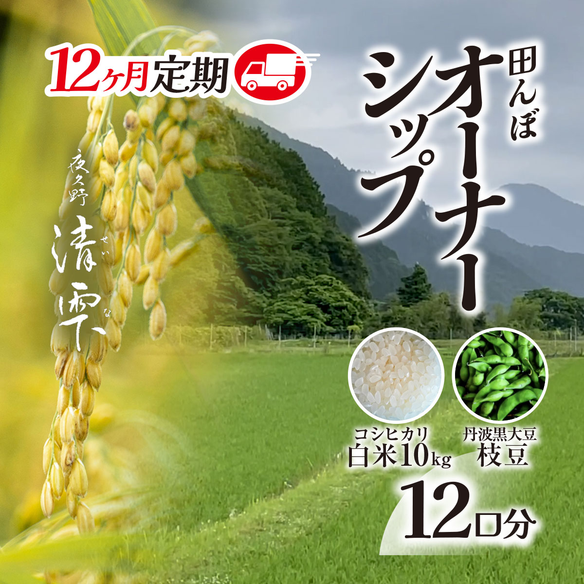 【ふるさと納税】＜令和7年9月末より発送！＞【12ヶ月定期】田んぼオーナーシップ12口分　清雫　白米10kg+ムラサキ（丹波黒大豆の枝豆）/ ふるさと納税 田んぼ オーナー制度 米 白米 令和7年度産 先行 定期 10kg 12回 収穫 夜久野 京都 京都府 福知山 FCDB012