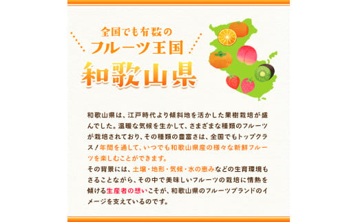 手剥き八朔缶詰(ミックス)450g×8本入紀の里農業協同組合《90日以内に出荷予定(土日祝除く)》---wsk_jakhskc_90d_22_13000_8h---