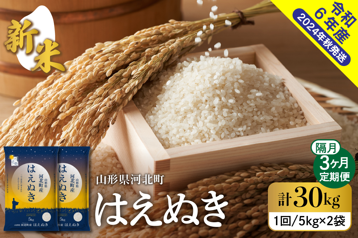 【令和6年産米】※2024年12月中旬スタート※ はえぬき30kg（10kg×3回）隔月定期便 山形県産 【米COMEかほく協同組合】