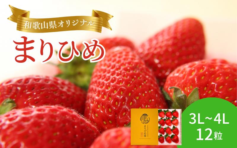 
＼先行予約／ 【化粧箱付き】まりひめ いちご 3L～4Lサイズ 約500g（12粒） 12月頃から順次発送 / 和歌山 果物 フルーツ 野菜 苺 冷蔵 冬 ギフト 贈答 12月 1月 2月 【tcs002】
