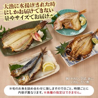 ふるさと納税 境港市 <数量限定>大漁時のみ限定!特盛干物詰合せ(総重量1.5kg以上) |  | 01