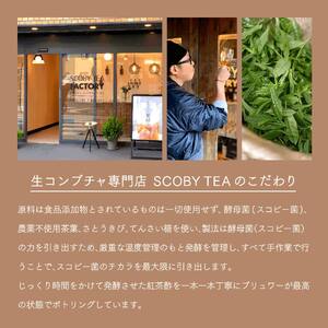 【先行予約2025年6月発送】SCOBY TEA 『HINOKI inspiration』750mL x 1本《株式会社ニフ》