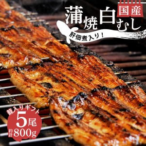 国産 うなぎ 蒲焼 鰻 4尾 白むし 1尾 計800g カット 肝 佃煮 1袋 プレミアム ギフト 籠入り セット 贈答用 真空 小分け 丑の日 沼津 うなよし （ｳﾅｷﾞ ｳﾅｷﾞ ｳﾅｷﾞ ｳﾅｷﾞ ｳﾅｷﾞ ｳﾅｷﾞ ｳﾅｷﾞ ｳﾅｷﾞ ｳﾅｷﾞ ｳﾅｷﾞ ｳﾅｷﾞ ｳﾅｷﾞ ｳﾅｷﾞ ｳﾅｷﾞ ｳﾅｷﾞ ｳﾅｷﾞ ｳﾅｷﾞ ｳﾅｷﾞ ｳﾅｷﾞ ｳﾅｷﾞ ｳﾅｷﾞ ｳﾅｷﾞ ｳﾅｷﾞ ｳﾅｷﾞ ｳﾅｷﾞ ｳﾅｷﾞ ｳﾅｷﾞ ｳﾅｷﾞ ｳﾅｷﾞ ｳﾅｷﾞ ｳﾅｷﾞｳﾅｷﾞ ｳﾅｷﾞ ｳﾅｷﾞ ｳﾅｷﾞ 