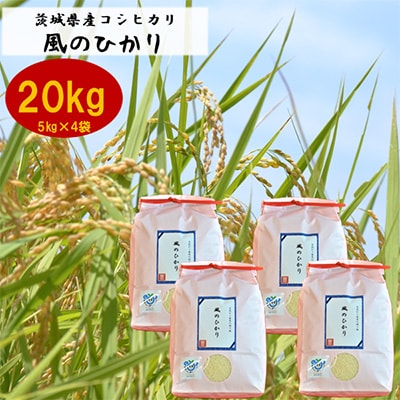2023年10月発送開始『定期便』お米ソムリエ厳選!茨城県産コシヒカリのお米20kg 全12回