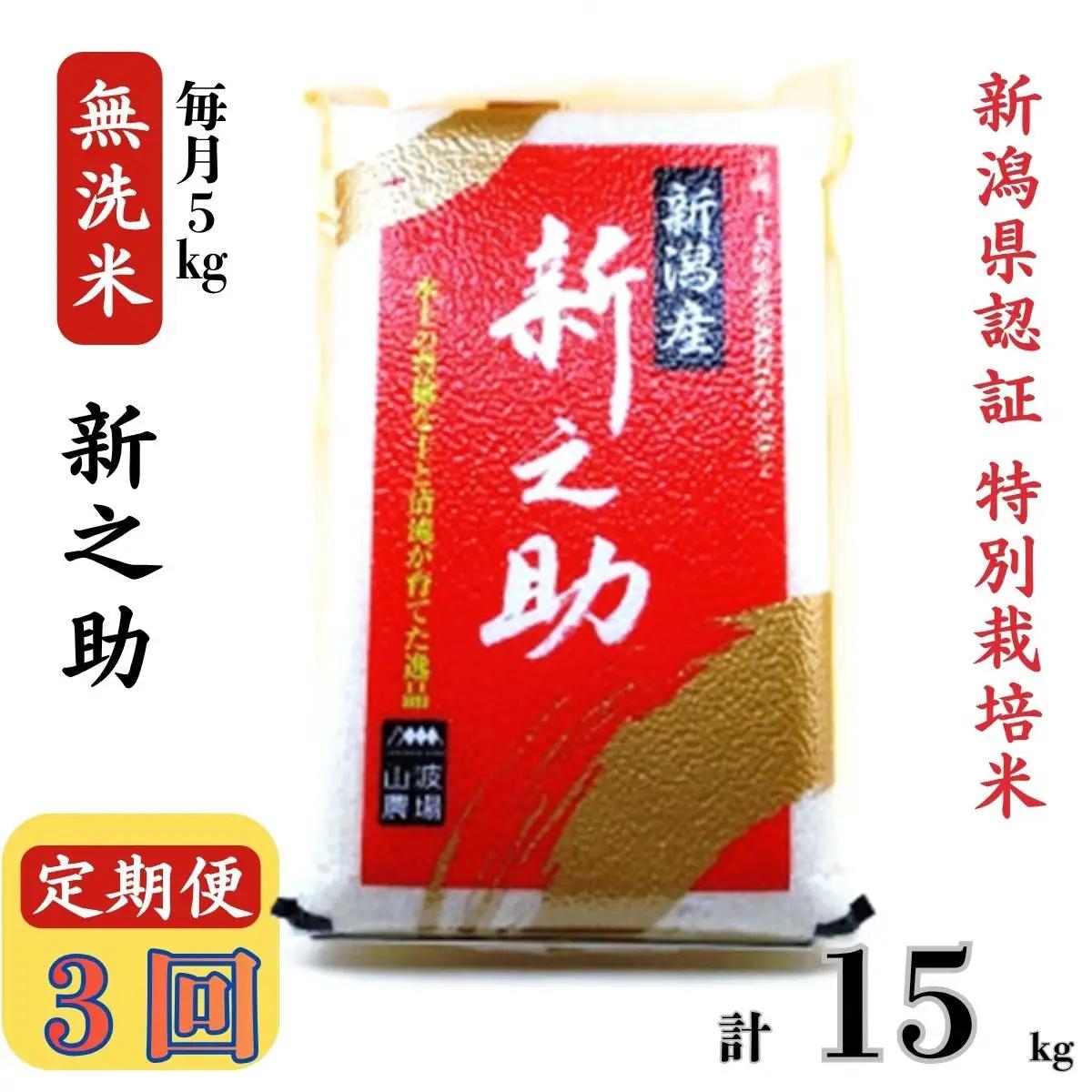 【令和8年産新米・3ヶ月定期便】真空パック 特別栽培米 新之助 無洗米 5kg×3回（計 15kg） 山波農場 お米 新潟県産 [Y0052]
