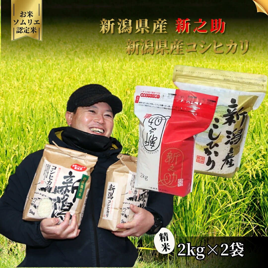【ふるさと納税】【先行予約】令和8年産 お米 食べ比べ 米 4kg（コシヒカリ2kg、新之助2kg）お米ソムリエのお米 | 精米 白米 コシヒカリ こしひかり 新之助 しんのすけ お米 おこめ コメ こめ 新潟県 五泉市 エバーグリーン農場