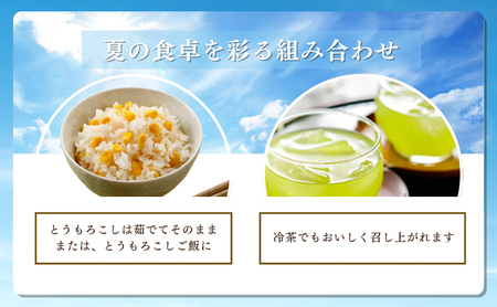 とうもろこし 新茶 セット 8～9本 詰め合わせ とうもろこし