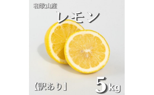 
                  ［2027年1月中旬より順次発送］和歌山県産　レモン　約5kg　家庭用（サイズ混合）［まごころ手選別］［US1］
                