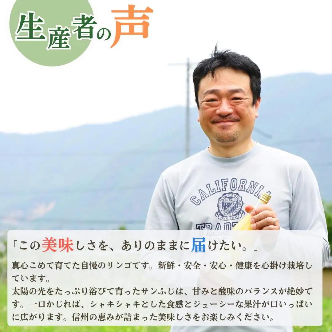 【2026年先行予約】りんご サンふじ 家庭用 訳あり 約5kg|りんご