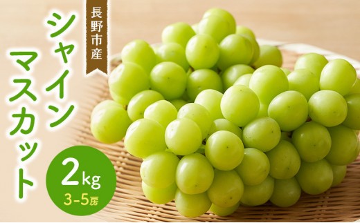 
                  シャインマスカット2kg　3-5房 |  シャインマスカット ぶどう フルーツ 果物 人気 おすすめ ギフト プレゼント 送料無料 長野県 長野市 信州 信濃 ふるさと納税
                