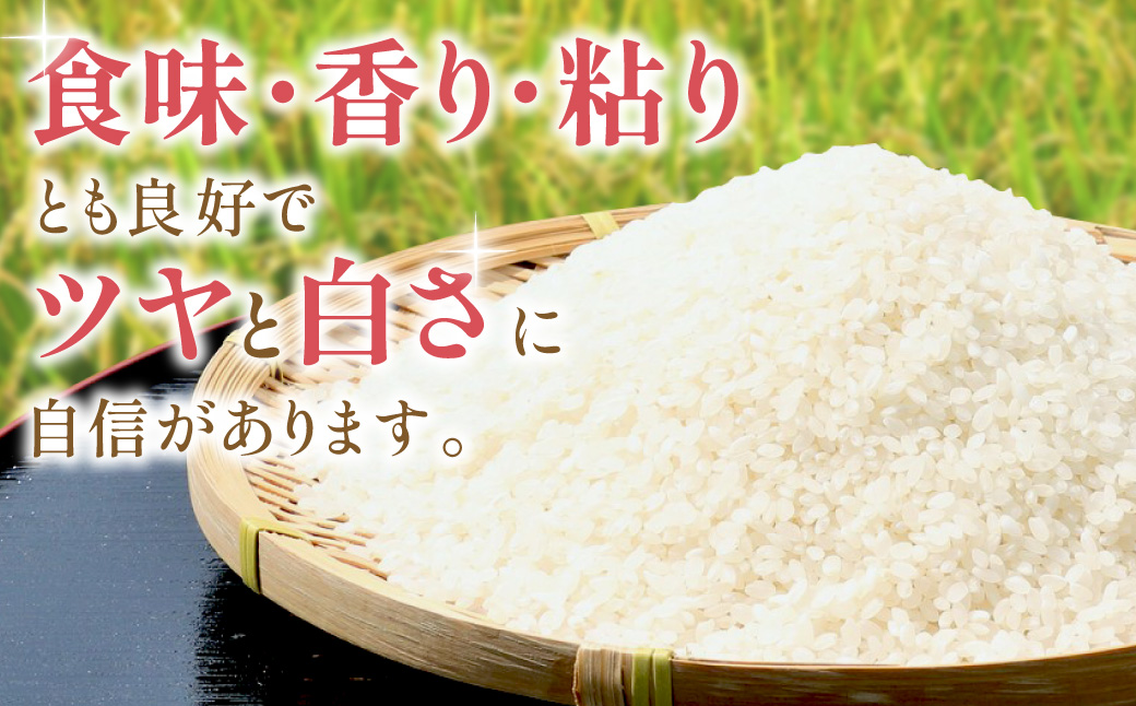 【令和7年産】【定期便】石見産きぬむすめ　１年分（5kg×12回コース） 定期便 12回 白米 玄米 選べる 5キロ 特産品 ごはん 新生活 応援 贈答 贈り物 ギフト お中元 お歳暮 【058_18