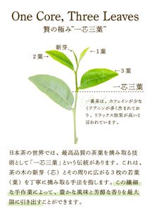 鹿児島県産 粉末 ほうじ茶 農薬不使用 300g （100g × 3袋） 2737