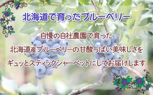 北海道 豊浦町 ブルーベリーシャーベット 20本 【 ふるさと納税 人気 おすすめ ランキング ブルーベリー 国産ブルーベリー ブルーベリーシャーベット 大容量 おいしい 美味しい 甘い 北海道 豊浦