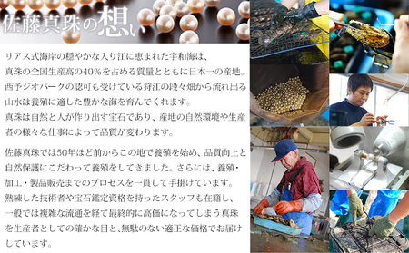 保証書付き＜真珠ペンダント・スルーバロック（イエローゴールド）＞8.0～9.0mm 純国産 高品質 アコヤ パール あこや ネックレス アクセサリー レディース 女性 誕生日 記念日 成人祝い 明浜産
