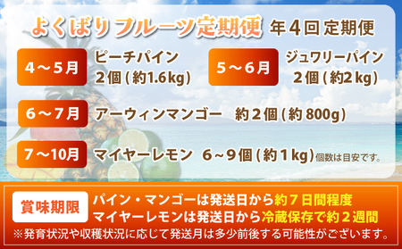 《2026年4月以降発送》島のおいしいを贅沢に！パイナップル2種とマンゴー、マイヤーレモンのよくばり定期便　年4回に分けてお送りします