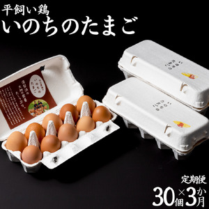 産地直送 定期便 3カ月 卵 30個 食べチョク アワード 2025 総合4位 受賞 平飼い 鶏 いのちの たまご | タマゴ 玉子 113M