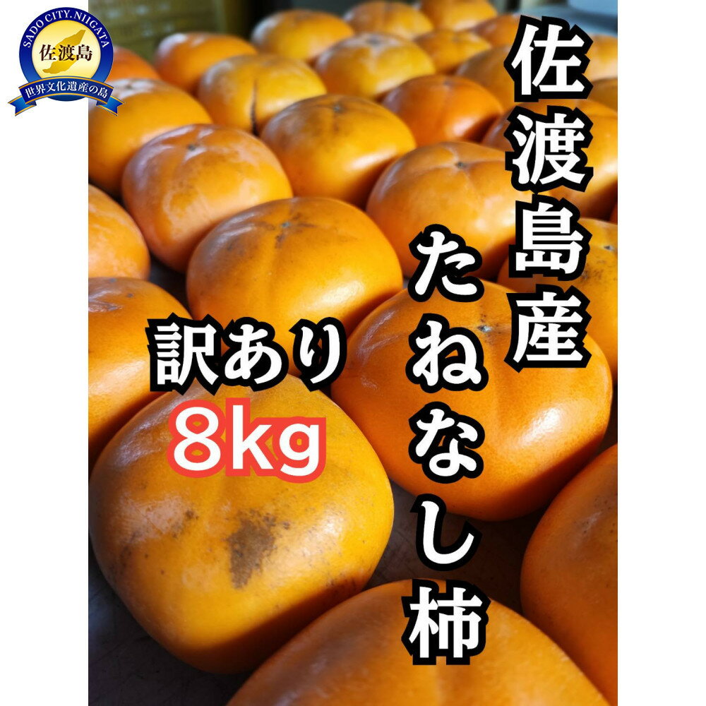 【ふるさと納税】訳あり　佐渡島産たねなし柿8kg | フルーツ 果物 くだもの 食品 人気 おすすめ 送料無料