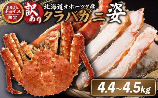 
                  《チョイス限定》北海道オホーツク産 訳アリ 冷タラバガニ姿　4.4～4.5kg | オンライン申請 ふるさと納税 北海道 雄武 北海道産タラバガニ タラバ カニ かに 蟹 冷凍 海産 海産物 ギフト 贈り物 お取り寄せ ワンストップ マイページ 雄武町【1243001】
                