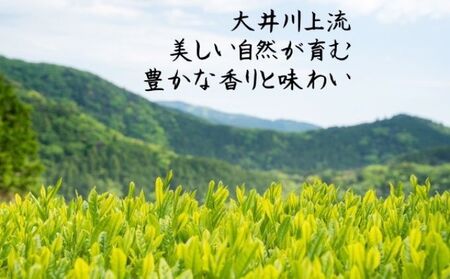 お茶 川根茶 上級煎茶 あさぎり 100g×5袋 セット お茶