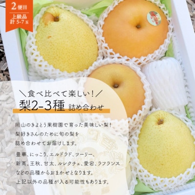 【発送月固定定期便】【きよとうファーム】シャインマスカット大2房と梨2-3種上級品(岡山県産)全2回【配送不可地域：離島】
