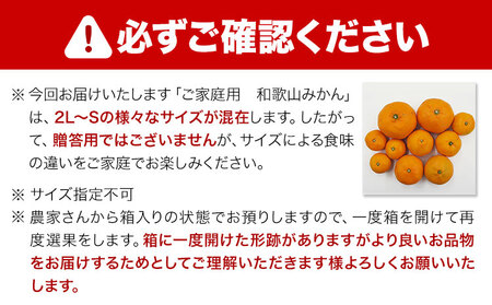 みかん ご家庭用みかん約10kg