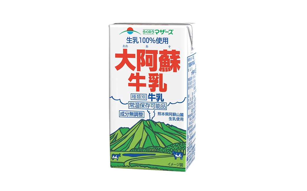 【6ヶ月定期便】 生乳 100％ 大阿蘇牛乳 ロングライフ 牛乳 250ml×24本入り 合計6L