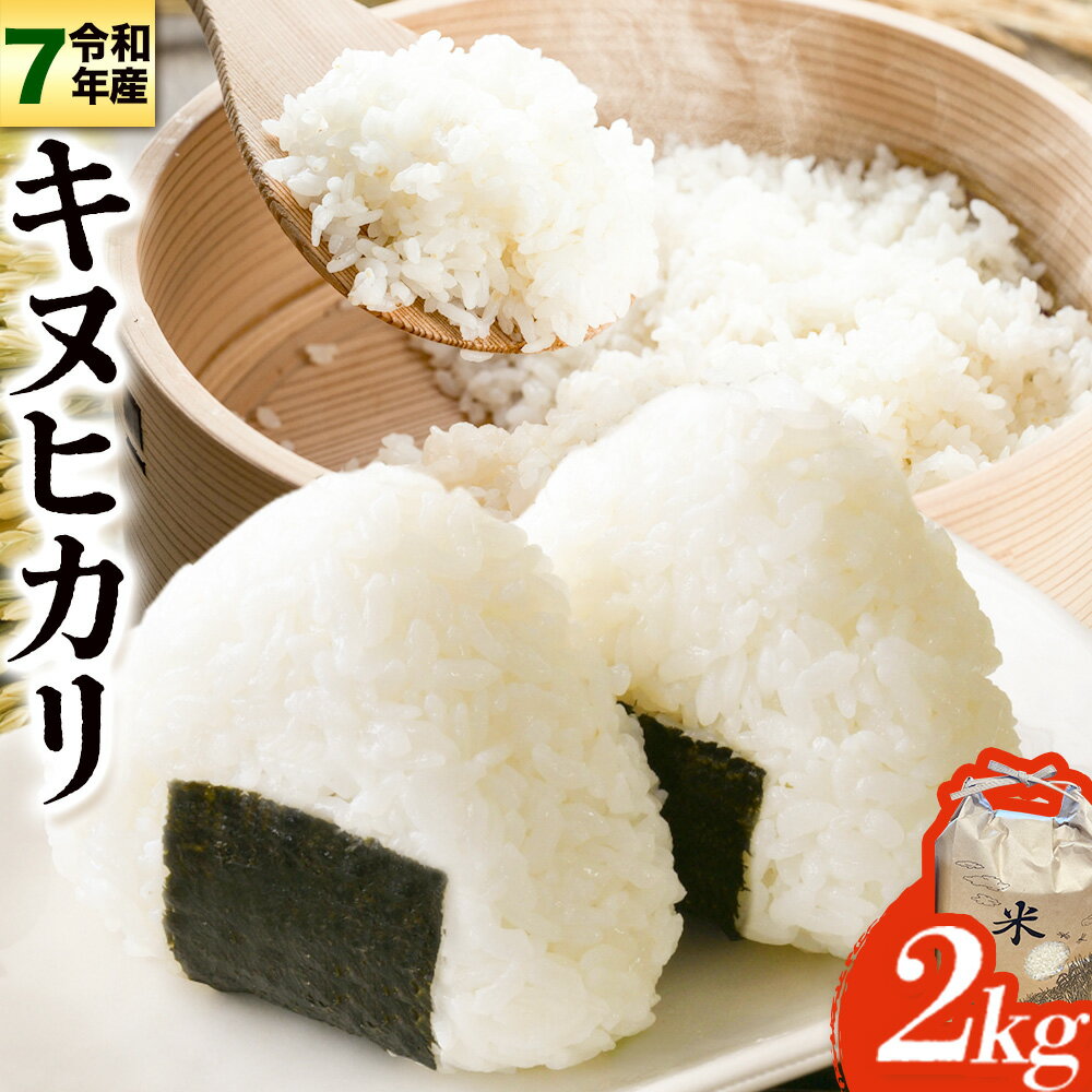 【ふるさと納税】【先行予約】令和7年産 無洗米 キヌヒカリ 約2kg 《2025年10月中旬‐1月中旬頃出荷》東農園 和歌山県 岩出市 米 こめ コメ きぬひかり 白米 送料無料 米びつ スーパーセール 2キロ 精米