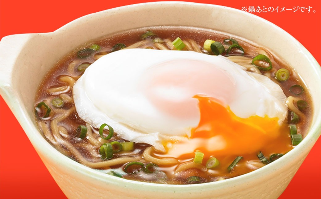 野菜をいっぱい食べる鍋 もやし鍋スープ 750g×10袋
