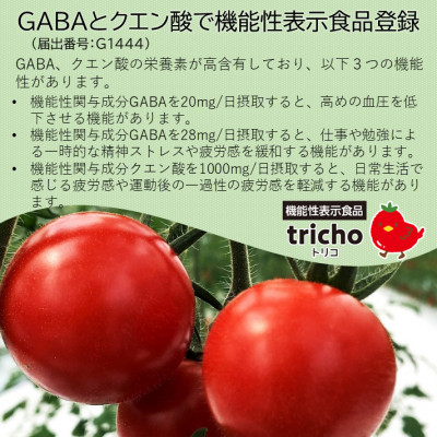 高糖度フルーツトマト「tricho(トリコ)」1.2kg【配送不可地域：離島】