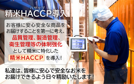 【先行予約】【令和6年産・新米】米 コシヒカリ 計10kg （5kg × 2袋）精米 福井県美浜町産 【2024年11月下旬発送予定】 [m60-a014_11]