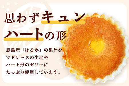 【赤門堂の焼菓子】はるかのきもち 22個 マドレーヌ 焼き菓子 焼菓子 お菓子 郷土菓子 ご当地スイーツ 焼き菓子 焼菓子 贈物 プレゼント ギフト 贈り物 お土産 おやつ B-641