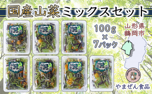 国産山菜ミックスセット　７パック　A01-755
