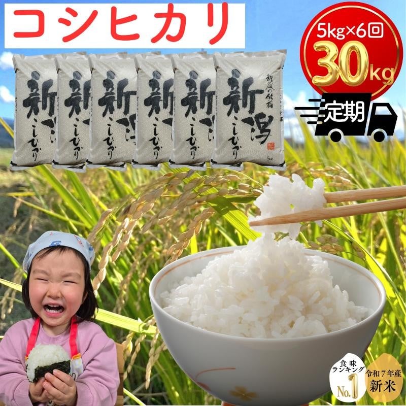 
                  令和7年 新潟県産コシヒカリ 30kg 30キロ（5kg×6回） 定期便 （毎月発送） 米ヴィレッジさんわ 自社精米 米 白米 送料無料 限定[№5361-2023]
                