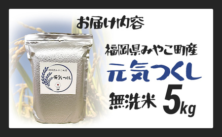 米 無洗米 令和8年産 元気つくし 5kg 精米 福岡県 みやこ町産 チャック付き チャック 防虫 ごはん おにぎり 福岡 九州 グルメ お取り寄せ