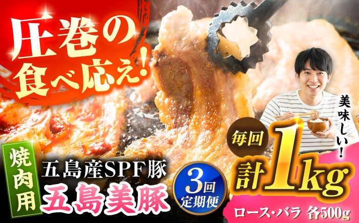 
                  【3回定期便】五島美豚焼肉1kg[PAF007] 焼肉用 五島美豚焼肉 国産豚 豚肉セット ブランド豚 食べ比べ 冷凍 ロース バラ ばら BBQ バーベキュー 小分け 焼き肉 やきにく 人気 おすすめ
                