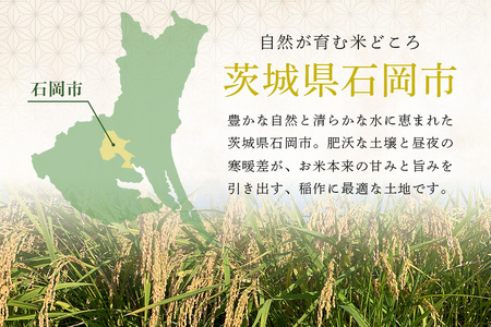 生活応援！獅子米コシヒカリ精米 10kg ×2袋 お米 白米 20kg 産地直送 こしひかり 茨城県 石岡市 B02-091