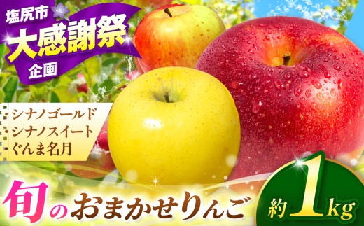 【2026年先行予約】 信州産 塩尻エールりんご！農家さん応援♪♪ 旬のおまかせりんご 約1kg(3～5玉)　シナノゴールド・シナノスイート・ぐんま名月から旬のりんごをお届け！ 【10月中旬～11月下旬にかけて順次発送予定】 | 果物 くだもの フルーツ 林檎 りんご リンゴ シナノゴールド シナノスイート ぐんま名月 おまかせ 訳あり 長野県 塩尻市