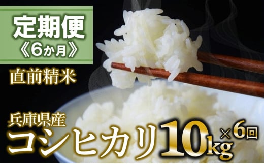 【定期便 6か月 コシヒカリ】白米10kg（6か月連続お届け）新米 2025年産 米 お米 米10㎏ お米10㎏ 兵庫県産 こしひかり コシヒカリ 西脇市産 定期 連続 6回 6か月 2025年産 精米 便利 らくちん ラク