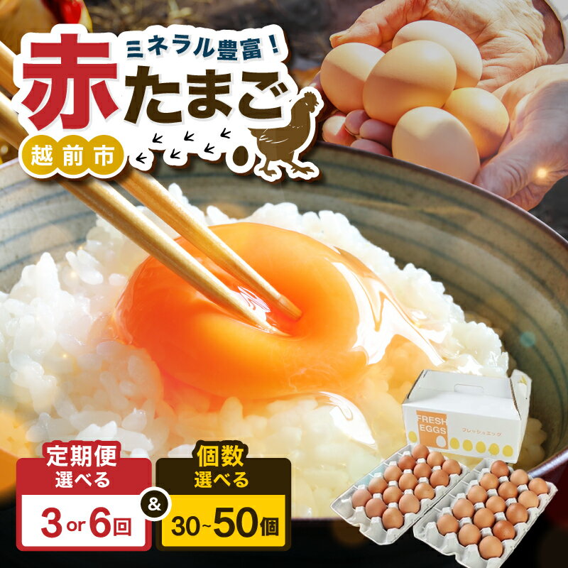 賞味期限20日！ミネラルを豊富な越前赤玉子50個（45個＋卵割れ補償5個）＊北海道・沖縄県 配送可能 / 送料無料 福井県 越前市 卵 たまご タマゴ ヨード 訳あり