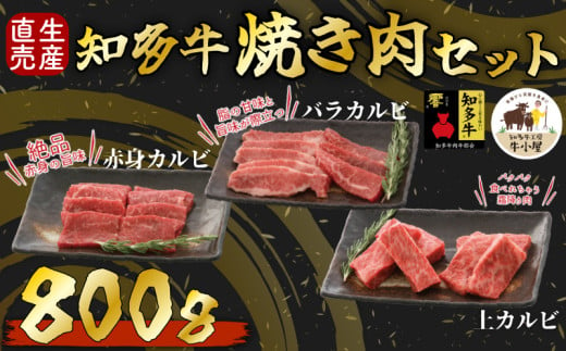 知多牛 響 焼肉セット 800g 上カルビ バラカルビ 赤身カルビ 生産直売 国産 牛肉 焼肉 肉 カルビ 牛 牛肉 焼肉 肉 カルビ 牛 ワイン 焼肉 肉 カルビ 牛 牛丼 牛肉 焼肉 肉 国産牛 カルビ 牛 BBQ 牛肉 焼肉 肉 カルビ 牛 ふるさと納税牛肉 ふるさと納税焼肉 ふるさと納税カルビ 牛肉 焼肉 肉 牛 バーベキュー 愛知県 南知多町 人気 おすすめ